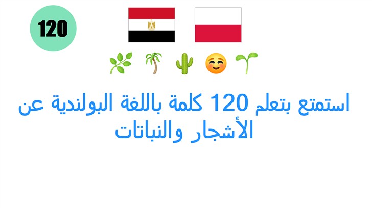 استمتع بتعلم 120 كلمة باللغة البولندية عن الأشجار والنباتات